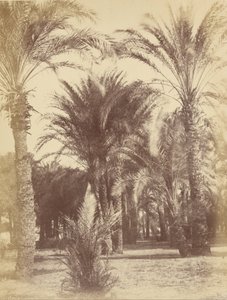 Gous av Théodule Devéria